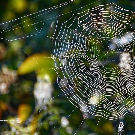 Appartamento Gawra Gustawa Ustrzyki Dolne Esterno foto
