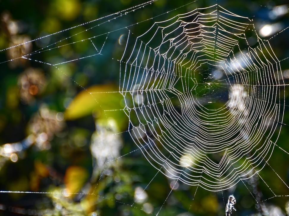 Appartamento Gawra Gustawa Ustrzyki Dolne Esterno foto